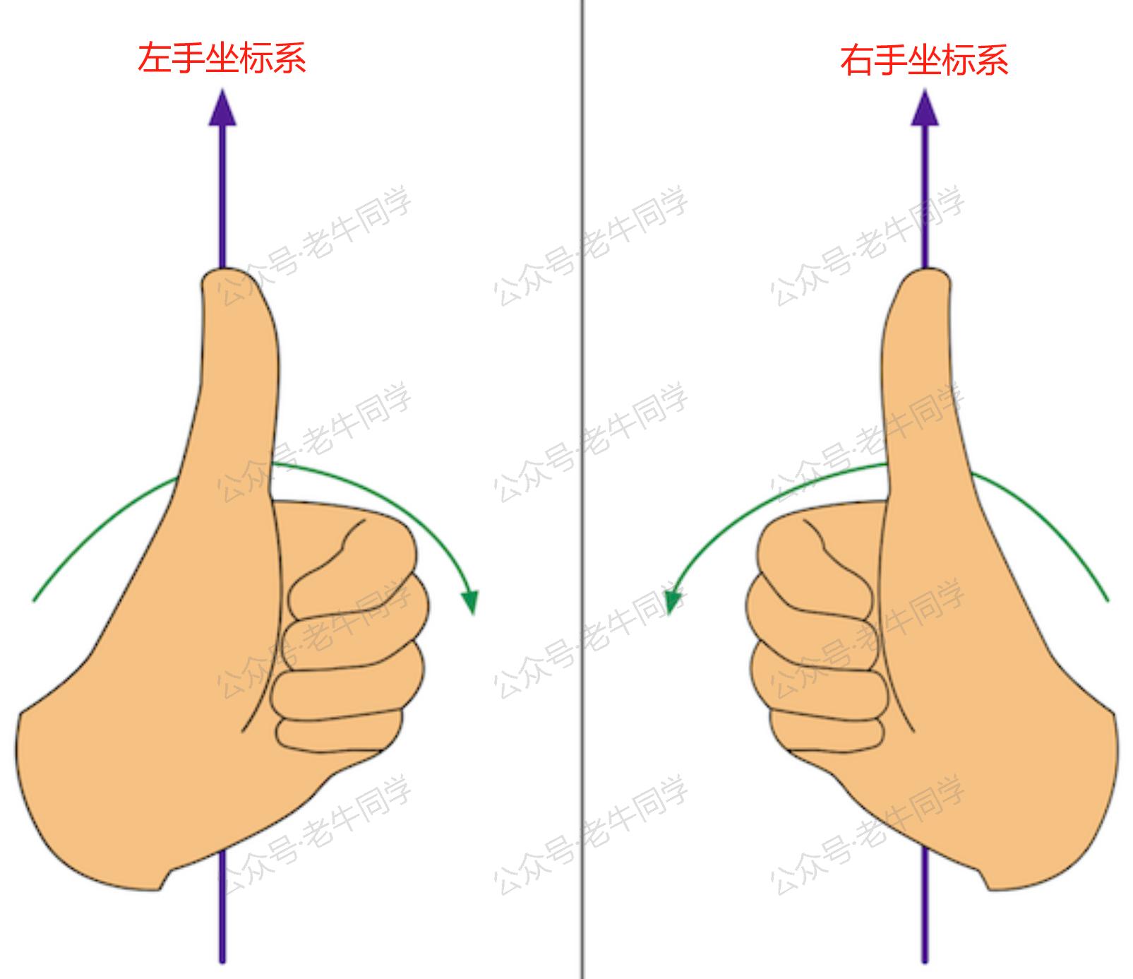 左手和右手坐标系